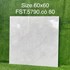 Gạch lát nền Tasa 60x60 bóng FST.5790
