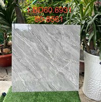 Gạch lát nền Tasa 80x80 8561