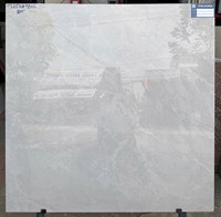 Gạch lát nền Viglacera 80x80 TS25 DGP802