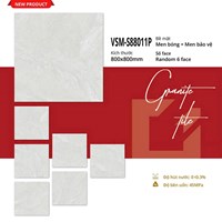 Gạch lát nền Việt Ý 80x80 bóng VSM-G88011P