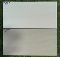 Đá ốp tường Vitaly 30x60 TK3603N-TK3603D