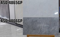 Gạch ốp tường Viglacera 40x80 bóng ASD 4865GP-4866GP