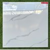 Gạch lát nền Prime 60x60 TP29157K