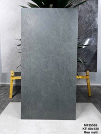 Gạch Vicenza 60x120 mờ M125555