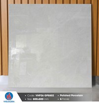 Gạch lát nền Viglacera 80x80 VHP26 GP8802