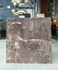 Gạch lát nền Apodio 80x80 bóng C88SS906