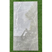 Gạch ốp lát Ấn Độ 60x120 APK1207