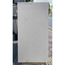 Gạch Viglacera 60x120 mờ SHGM61201