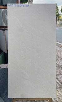 Gạch Viglacera 60x120 mờ SHGM61201