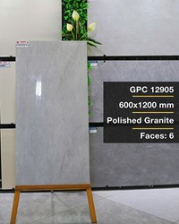 Gạch ốp lát Taicera 60x120 GPC 12905