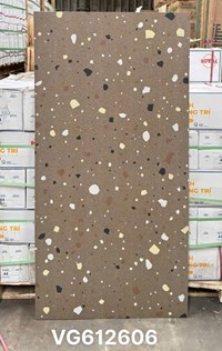 Gạch Royal Hoàng Gia 60x120 mờ VG612606
