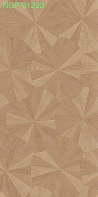 Gạch lát nền giả gỗ 60x120 mờ 61203