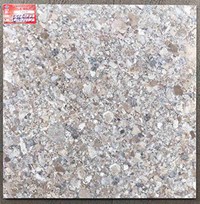 Gạch lát nền Ý Mỹ 600x600 EF69013
