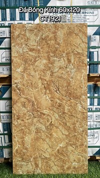 Gạch ốp lát Á Mỹ 60x120 CT1921