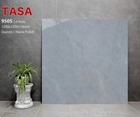 Gạch lát nền Tasa 120x120 9505