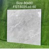 Gạch lát nền Tasa 80x80 bóng FST.9225