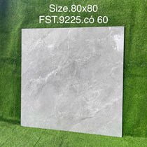 Gạch lát nền Tasa 80x80 bóng FST.9225