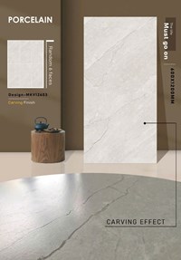 Gạch Ấn Độ 60x120 mờ MKV12603