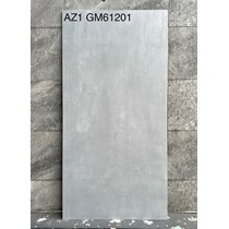 Gạch Viglacera 60x120 mờ AZ1-GM61201