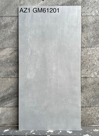 Gạch Viglacera 60x120 mờ AZ1-GM61201