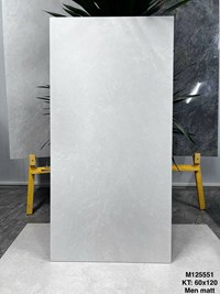 Gạch Vicenza 60x120 mờ M125551