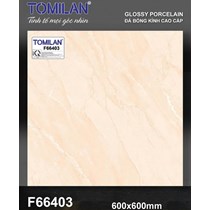 Gạch lát nền Tô Thành Phát 60x60 bóng F66403