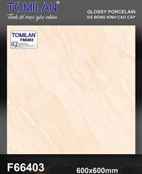 Gạch lát nền Tô Thành Phát 60x60 bóng F66403
