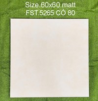 Gạch lát nền Tasa 60x60 mờ FST.5265