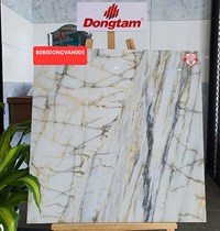 Gạch Đồng Tâm 8080DONGVAN005