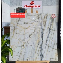 Gạch Đồng Tâm 8080DONGVAN005