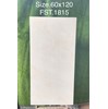 Gạch Tasa 60x120 bóng FST.1815