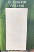 Gạch Tasa 60x120 bóng FST.1815