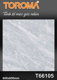 Gạch lát nền Tô Thành Phát 60x60 bóng T66105