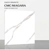 Gạch lát nền CMC 100x100 CGD1010001S2