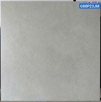 Gạch lát nền Taicera 80x80 mờ G88P23JM