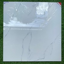 Gạch lát nền Prime 100x100 OV21003