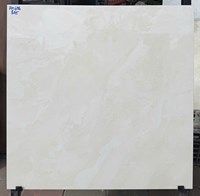 Đá bán sứ bóng kính giá rẻ 60x60 PH606