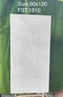 Gạch Tasa 60x120 bóng FST.1810