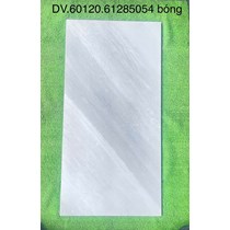 Gạch ốp lát Apodio 60x120 61285054