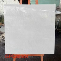 Gạch lát nền Taicera 80x80 GPC88904