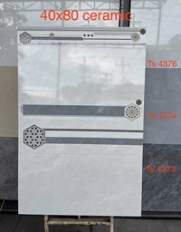 Gạch ốp tường Tasa 40x80 TS 4376-4374-4373