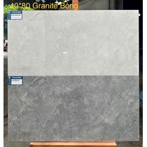 Gạch ốp tường Viglacera 40x80 bóng ASD 4865GP-4866GP