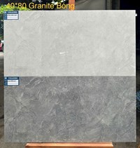 Gạch ốp tường Viglacera 40x80 bóng ASD 4865GP-4866GP