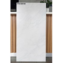 Gạch ốp lát Taicera 60x120 mờ FT612051M