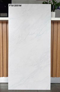 Gạch ốp lát Taicera 60x120 mờ FT612051M
