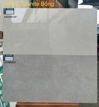 Gạch ốp tường Viglacera 40x80 bóng ASD 4861GP-4862GP