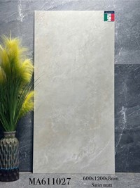Gạch ốp lát Apodio 60x120 mờ MA611027