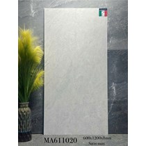 Gạch ốp lát Apodio 60x120 mờ MA611020