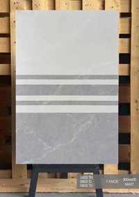 Gạch ốp tường giá rẻ 30x60 Hà Thanh mờ 3803