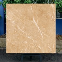 Gạch lát nền CMC 100x100 CGD1010003S2